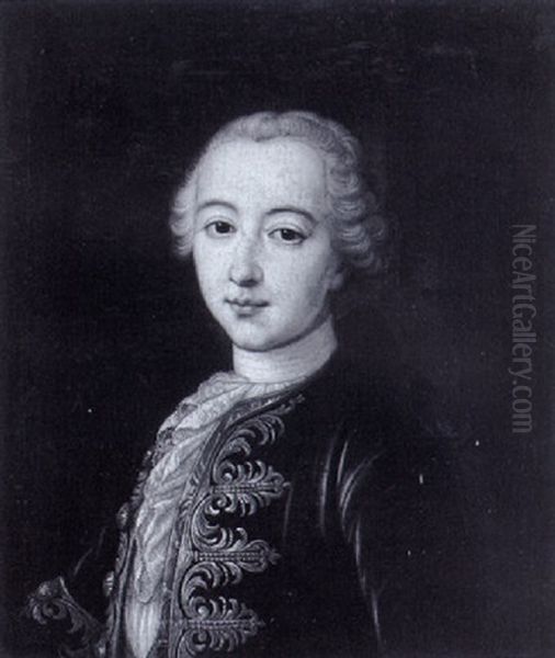 Portrait Of A Young Gentleman Oil Painting by Martin Ii Mytens