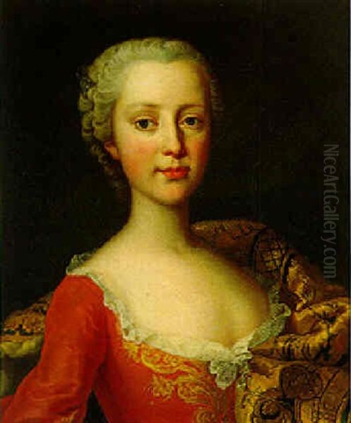 Portrait Of A Lady In Red Dress With Brocade Shawl Oil Painting by Martin Ii Mytens