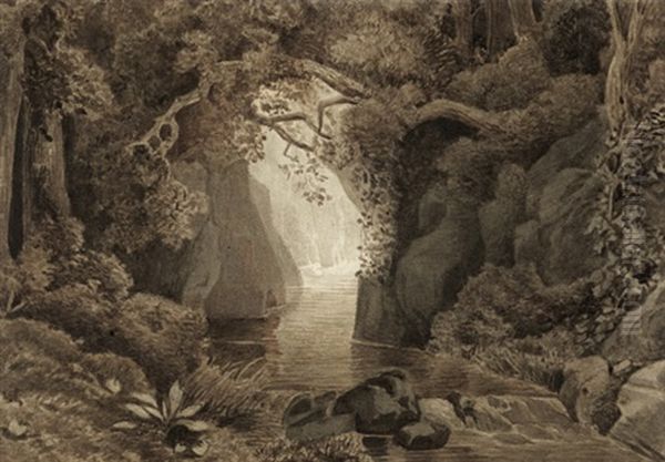 Bewaldete Schlucht Mit Schmalem Bachlauf Oil Painting by Christoph Nathe