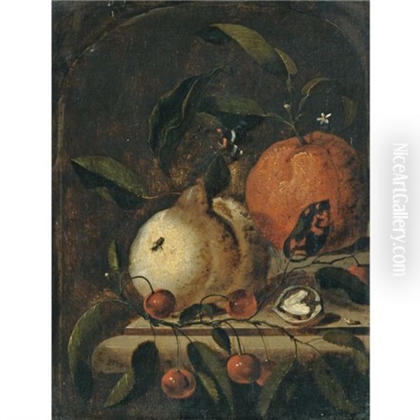 A Still Life With A Lemon, An Orange And A Walnut On A Ledge Oil Painting by Martinus Nellius