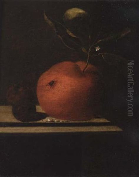 A Still Life Of An Orange And Two Medlars Upon A Ledge Oil Painting by Martinus Nellius