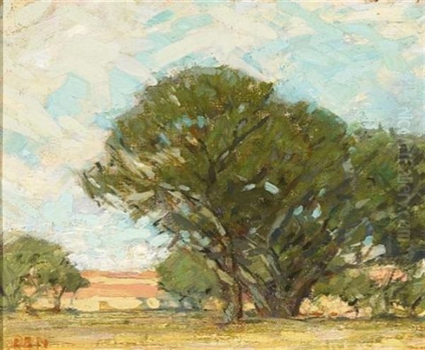 The Grounds At Stanford, Palo Alto Oil Painting by Bruce Nelson
