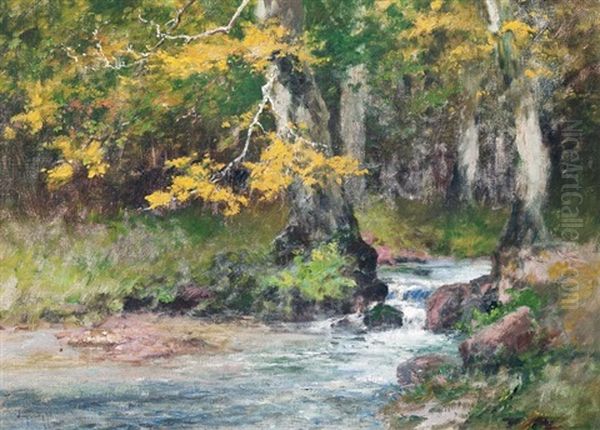 Csorgedezo Patak Oil Painting by Antal Neogrady