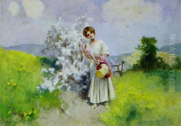 Auf Der Bluhenden Wiese Oil Painting by Antal Neogrady