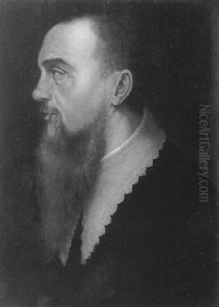 Portrait D'homme Barbu De Profil Oil Painting by Nicolas Neufchatel