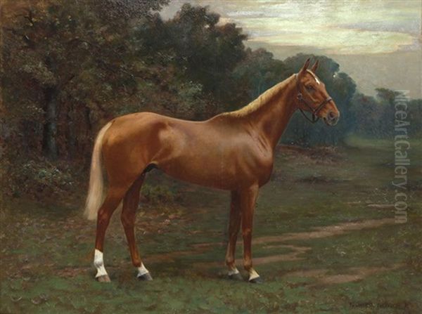 Portrait De Cheval Oil Painting by Richard Newton II