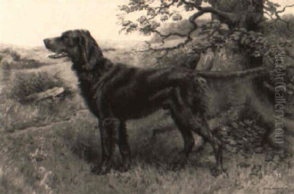 An Irish Setter Oil Painting by Richard Newton II