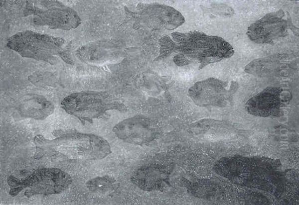 A Shoal Of Fish Oil Painting by Jakob Nieweg