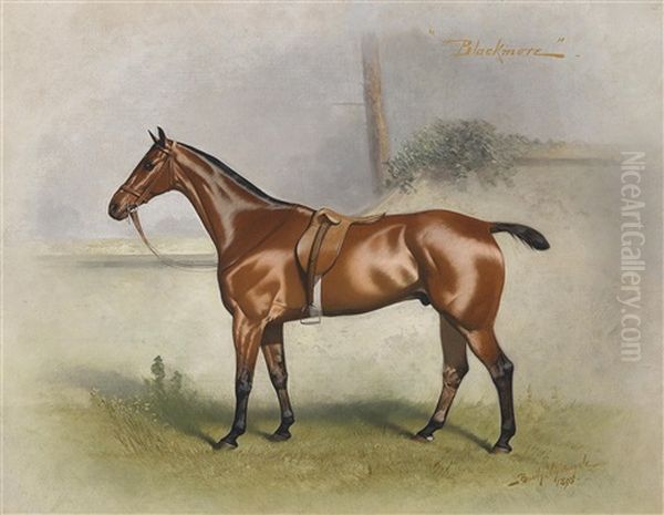 Blackmore, Sportpferd Oil Painting by Basil J. Nightingale