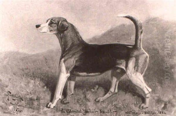 A Portrait Of The Foxhound, `the Celebrated Belvoir         Gambler' Oil Painting by Basil J. Nightingale