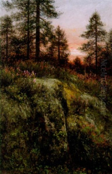 Svenskt Skogslandskap I Aftonljus Oil Painting by Johan Severin Nilsson