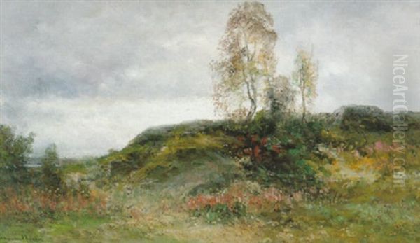 Bergbacke I Kolmarden Oil Painting by Johan Severin Nilsson