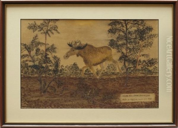 Alg Oil Painting by Nils Nilsson-Skum