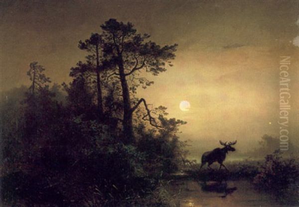 Manskenslandskap Med Alg Oil Painting by Axel Wilhelm Nordgren