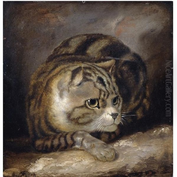 A Wild Cat Oil Painting by James (Thomas J.) Northcote