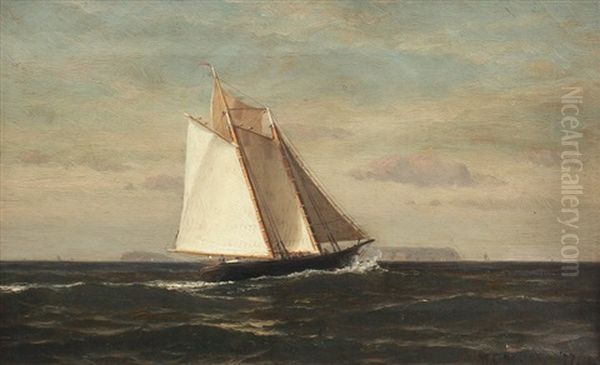 Sailing Off The Main Coast Oil Painting by William Edward Norton