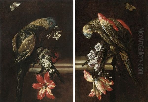 A Parrot With Blue, Green And Gold Plumage, Perched On A Stone Ledge (+ A Parrot; Pair) Oil Painting by Mario Nuzzi Mario Dei Fiori