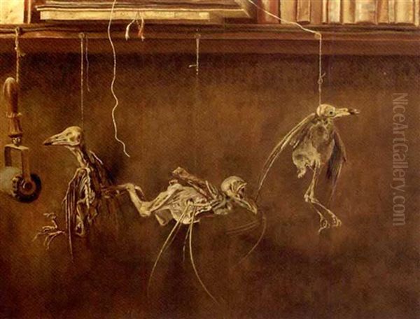 Stilleven Met Vogelskeletjes - A Still Life With Bird's Skeletons Oil Painting by Dirk Nyland