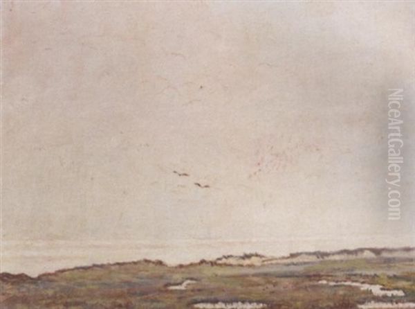 A Seascape With Two Seagulls Oil Painting by Dirk Nyland