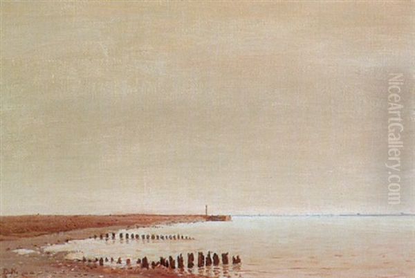 Laag Water Aan Het Haringvliet Oil Painting by Dirk Nyland