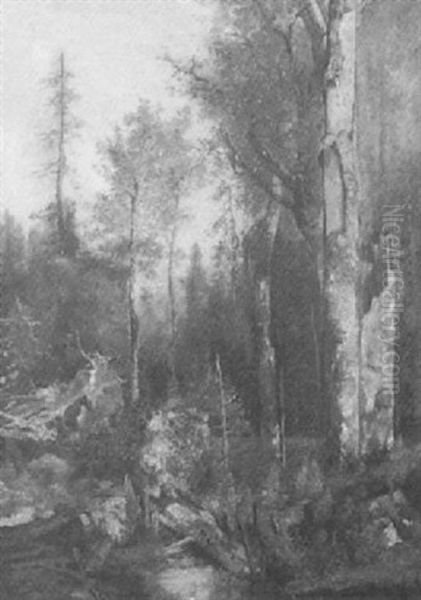 Aus Den Forsten Des Fursten Schwarzenberg Oil Painting by Adolf Obermuellner