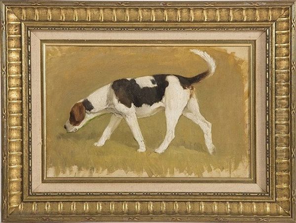A Study Of A Hound Oil Painting by Dermod William O'Brien