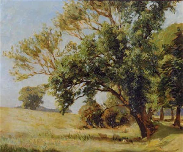 Rathgonan, Sheep Grazing Under Trees Oil Painting by Dermod William O'Brien
