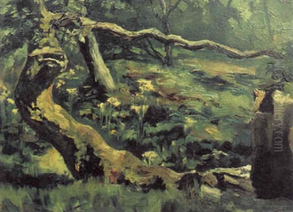 A Wooded Landscape Oil Painting by Dermod William O'Brien
