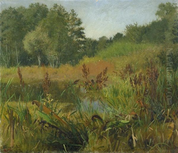 Sommerliche Landschaft Bei Kremmen Oil Painting by Eduard Ockel