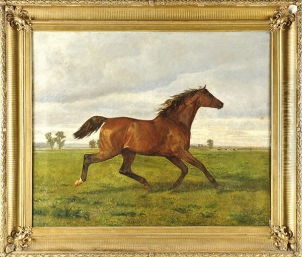 Trabendes Pferd Oil Painting by Eduard Ockel