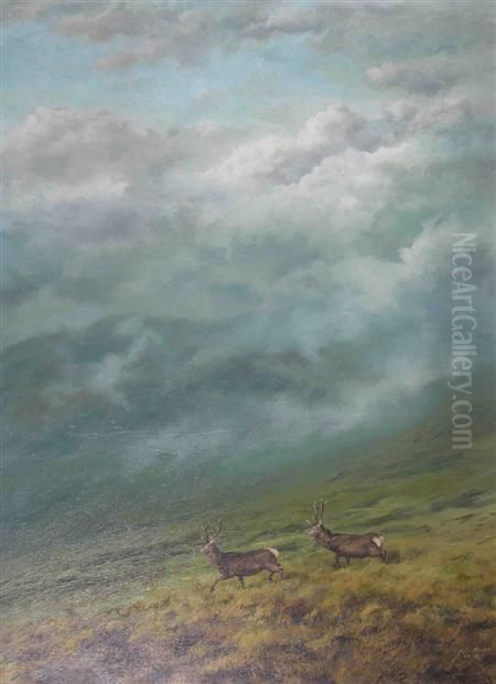 Two Stags Striding Across The Moor Oil Painting by Arthur John Black