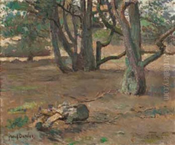 A Landscape Of Trees Oil Painting by Frans David Oerder