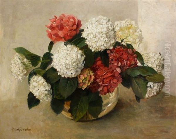Still Life With Hydrangeas Oil Painting by Frans David Oerder