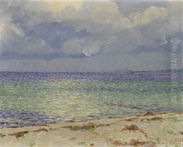 Meereskuste Oil Painting by Hans Olde