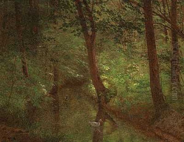 Et Lille Vandlob I Skoven Oil Painting by Henrik Olrik