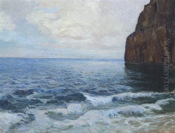 Felsige Meereskuste Oil Painting by Carl (Karl, Charles) O'Lynch of Town