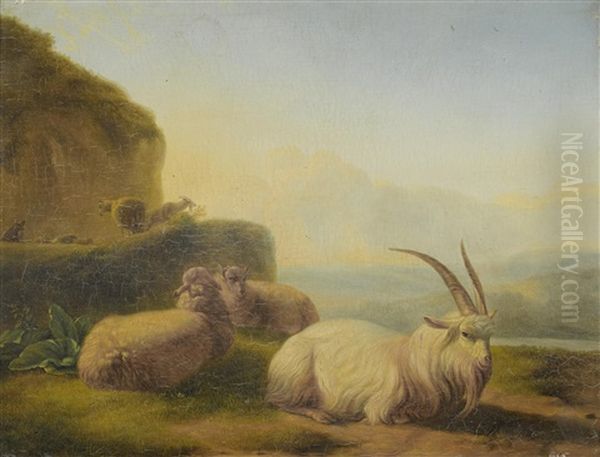 Study Of Goats Oil Painting by Balthasar Paul Ommeganck