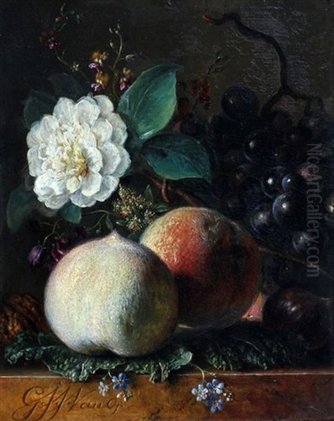 Stilleven Met Fruit En Bloemen Oil Painting by Georgius van Os
