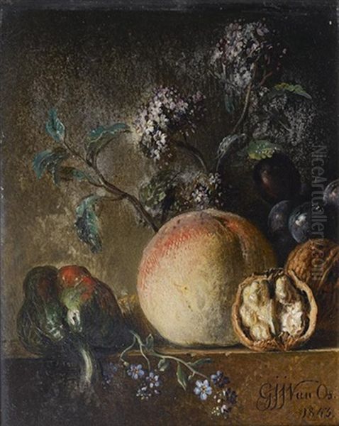 Nature Morte Aux Poivrons, Peches Et Noix Sur Un Entablement Oil Painting by Georgius van Os