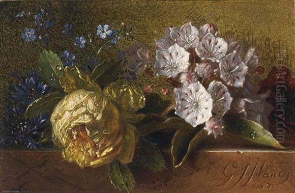 Flowers On A Ledge Oil Painting by Georgius van Os