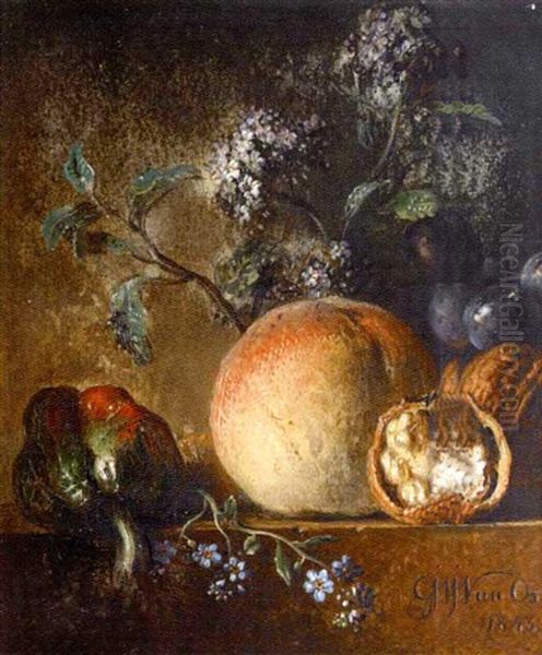 Nature Morte De Fleurs Et Fruits Oil Painting by Georgius van Os