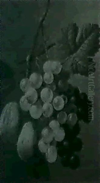 Traubenzeig Und Pflaumenzweig Oil Painting by Georgius van Os