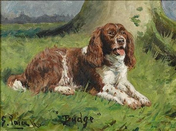 Portrait Of "budge", A Springer Spaniel Oil Painting by George Paice