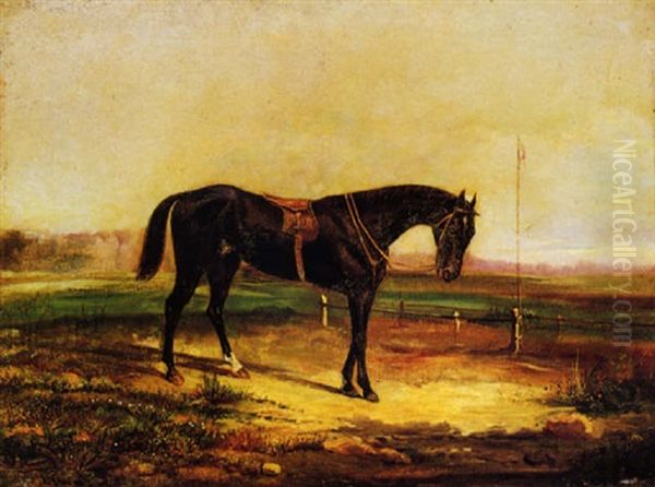 Morello Da Sella Oil Painting by Filippo Palizzi