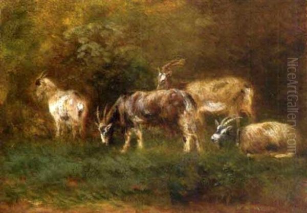 Les Chevres Oil Painting by Giuseppe Palizzi