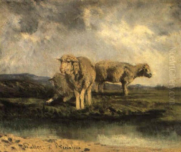 Pecore Nel Paesaggio Oil Painting by Giuseppe Palizzi