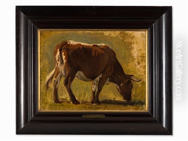 Domestic Cattle Oil Painting by Bela Pallik