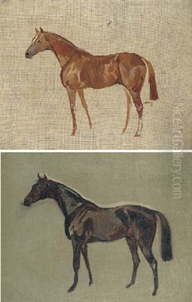 Sketch Of A Dark Bay Horse (+ Sketch Of A Chestnut Horse; 2 Works) Oil Painting by James Lynwood Palmer