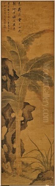 Plantain And Orchids Growing Beside Large Rocks Oil Painting by Pan Gongshou