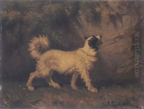 Cane Da Caccia Oil Painting by Antonio Paoletti